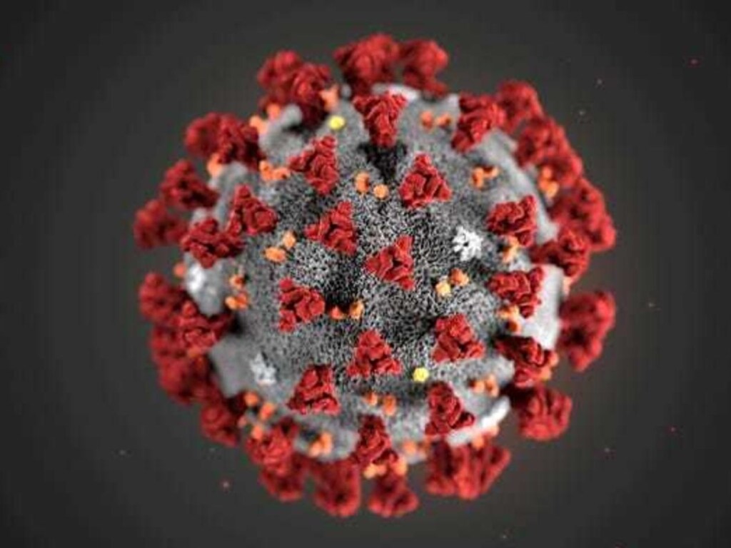 Ученые нашли новый мутировавший коронавирус