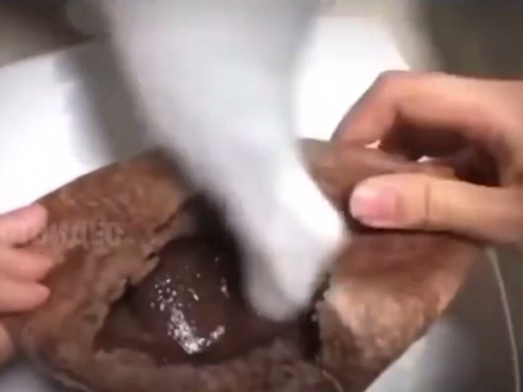 Кот презрительно отнесся к кулинарным талантам хозяйки и засунул лапу в кекс (ФОТО)
