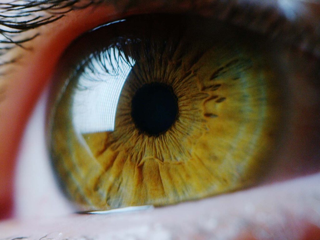 Медики назвали витамины, полезные для здоровья глаз