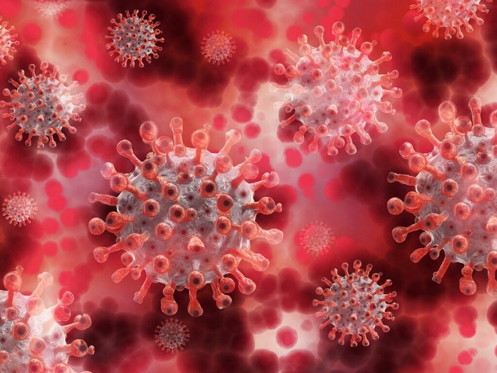 В Украине за сутки выявили более тысячи новых случаев коронавируса