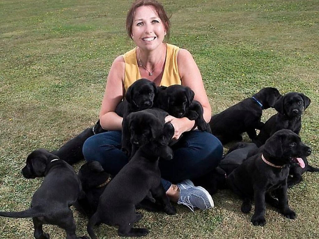 Светлая собака произвела на свет 13 абсолютно черных щенков (ФОТО)