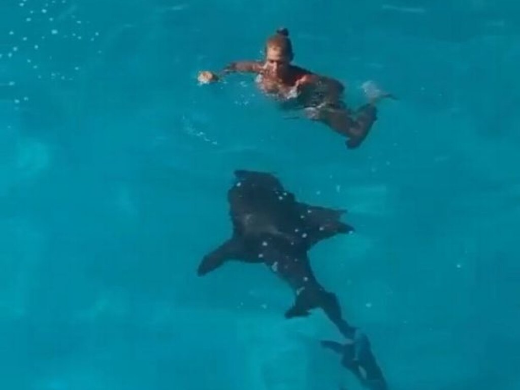 На Багамах на девушку «налетела» акула-медсестра (ФОТО)