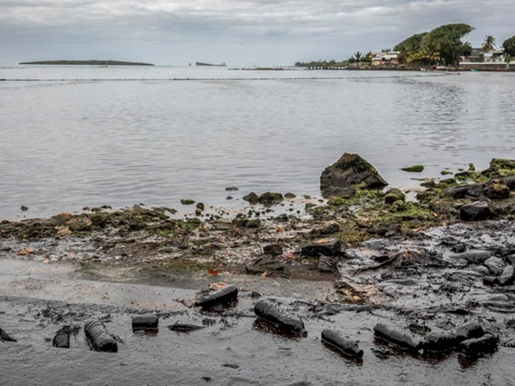 «Вылились тысячи тонн нефти»: на Маврикии произошла экологическая катастрофа (ФОТО)