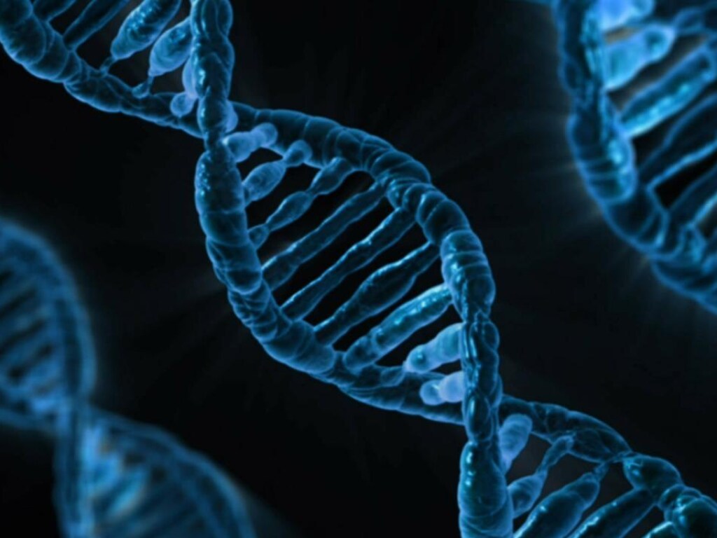 Химики взломали фундаментальный генетический код