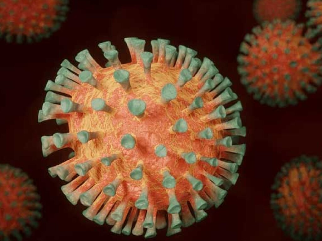 В Черкасском облсовете выявили коронавирус