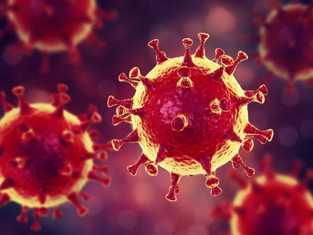 Ученые заявили о разработке эффективного препарата против коронавируса