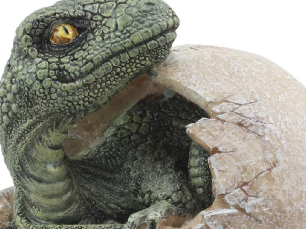 В РФ палеонтологи нашли яйцо, которому 125 миллионов лет (ФОТО)