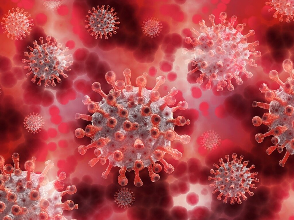 Врач о коронавирусе: идет «волна» нагрузки на национальную систему здравоохранения