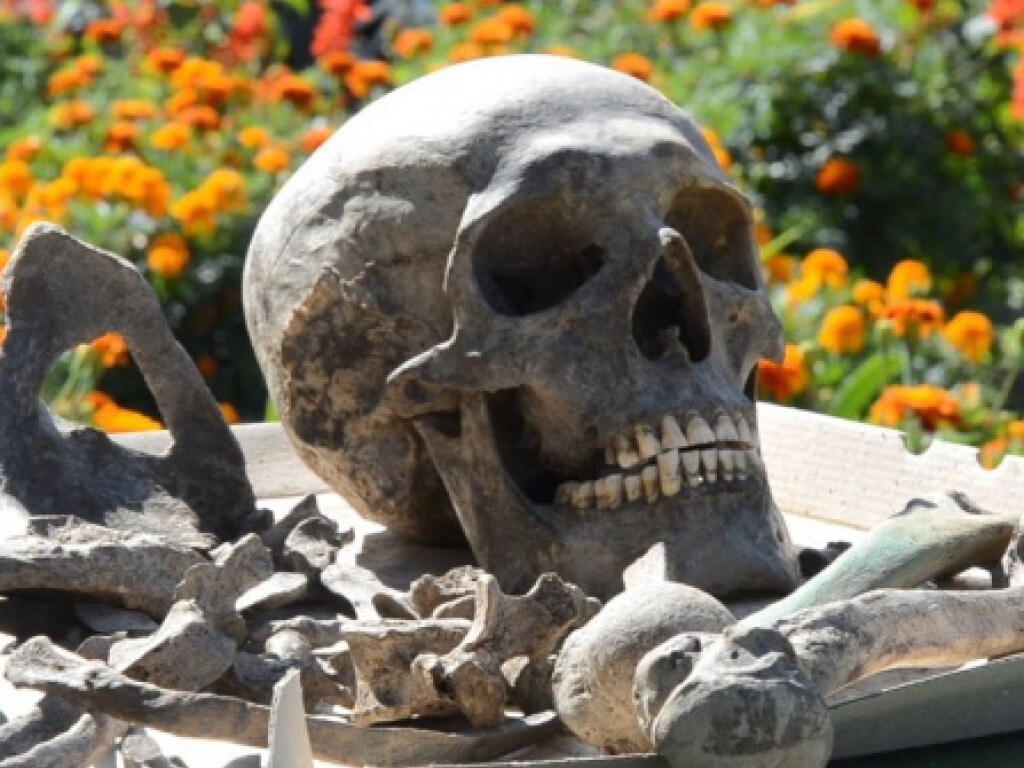 На Тернопольщине археологи нашли 10 человеческих скелетов из XVII-XIX веков (ФОТО)