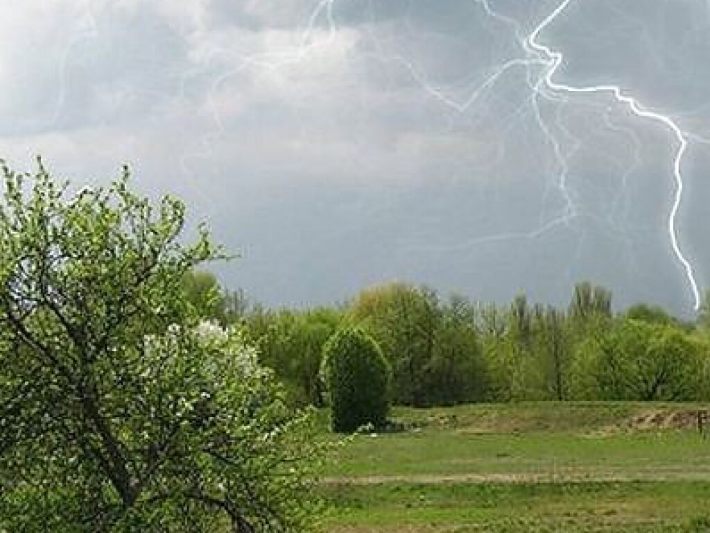 Ожидаются грозовые дожди: синоптики объявили штормовое предупреждение на западе Украины