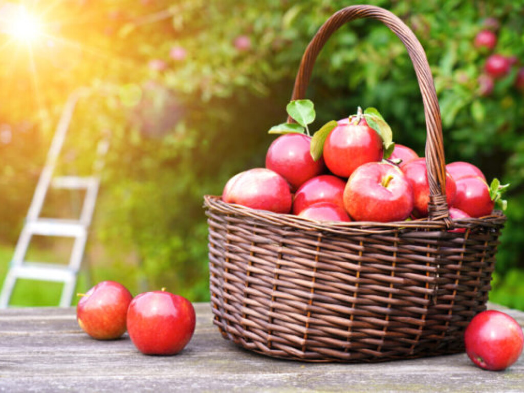 Яблочный спас 2020: что нельзя делать в праздник