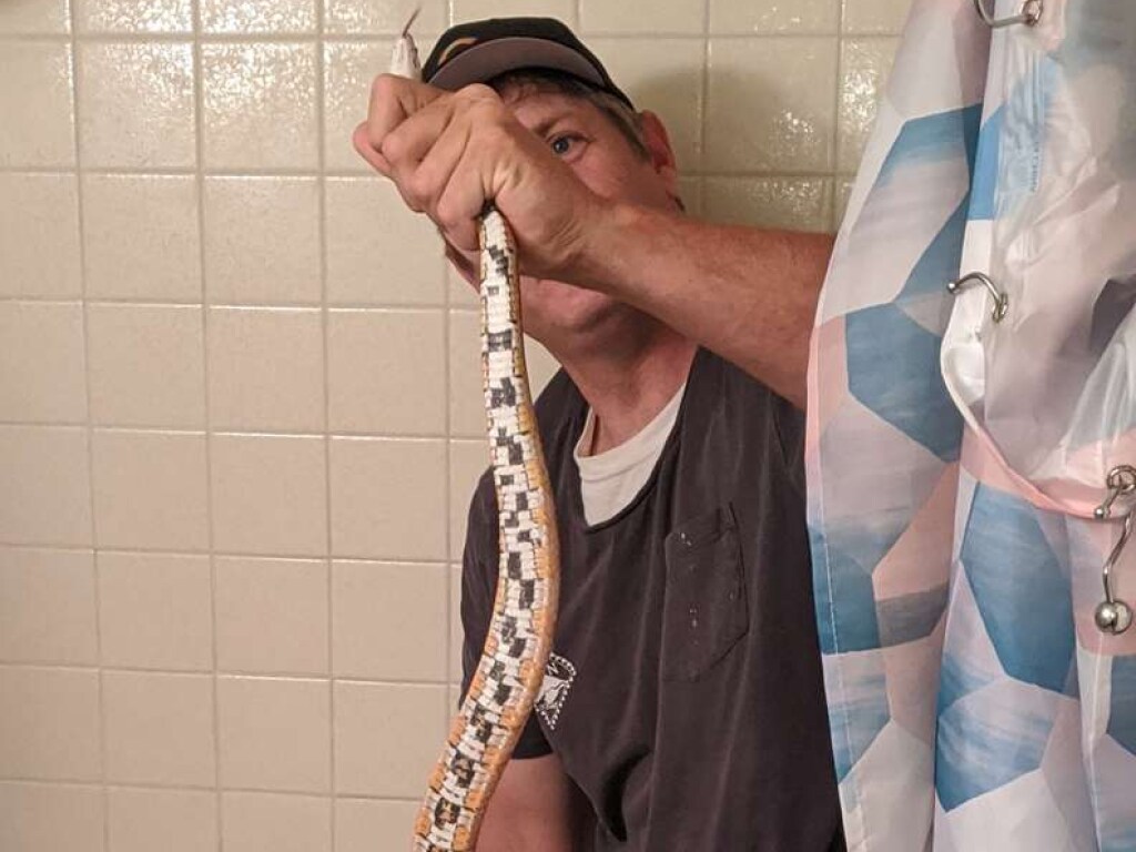 Женщина обнаружила в унитазе змею (ФОТО)