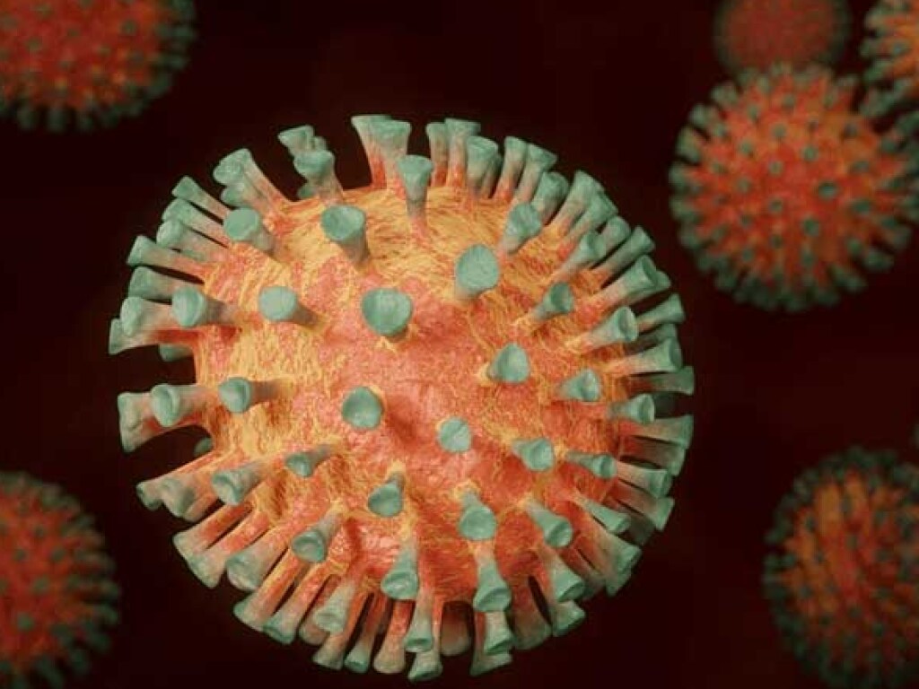 Немецкие ученые узнали новые детали о механизме инфицирования коронавирусом