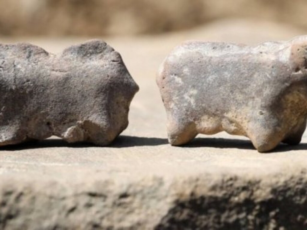 Для ритуалов или детские игрушки: В Польше археологи нашли загадочные камушки, которым около 3500 лет (ФОТО)