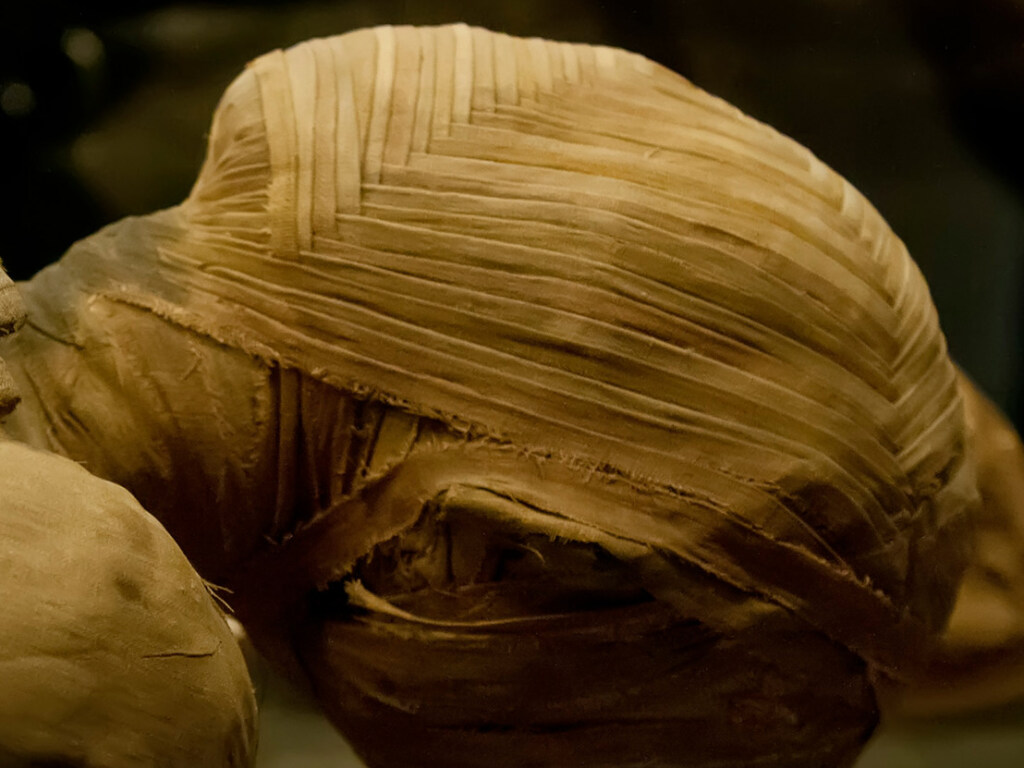 Хранят жуткую тайну: Ученые сделали рентген египетским мумиям и были потрясены (ФОТО)