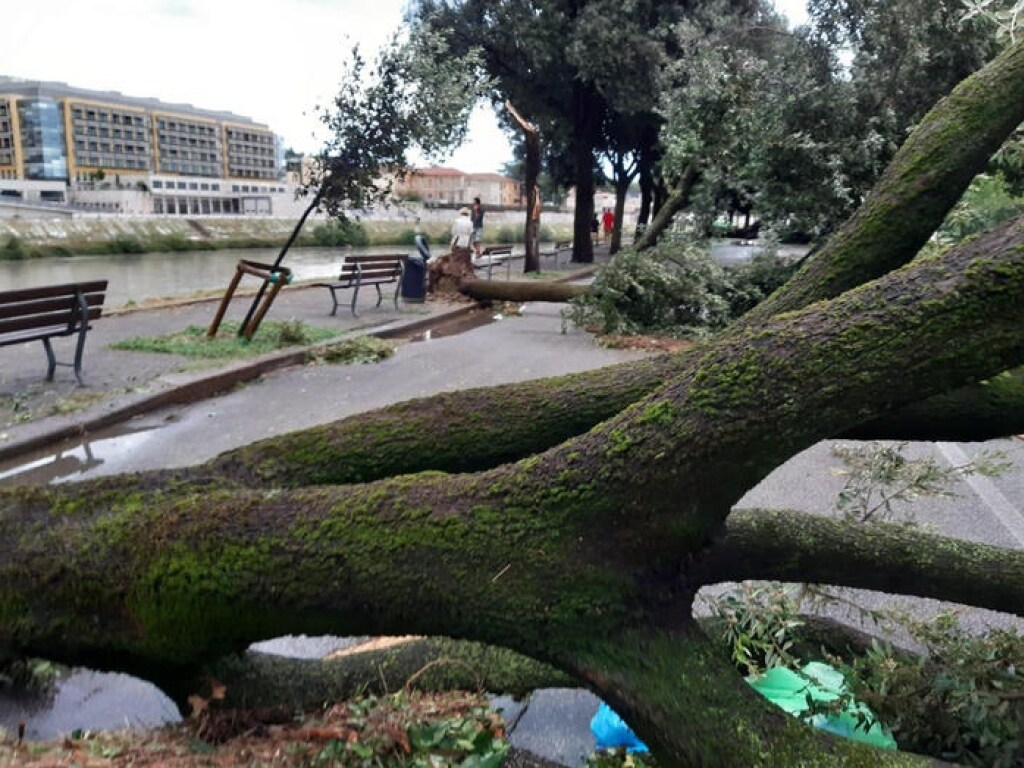 Сотни поваленных деревьев, затопленные улицы городов: В Италии подсчитывают ущерб из-за ливней (ФОТО)