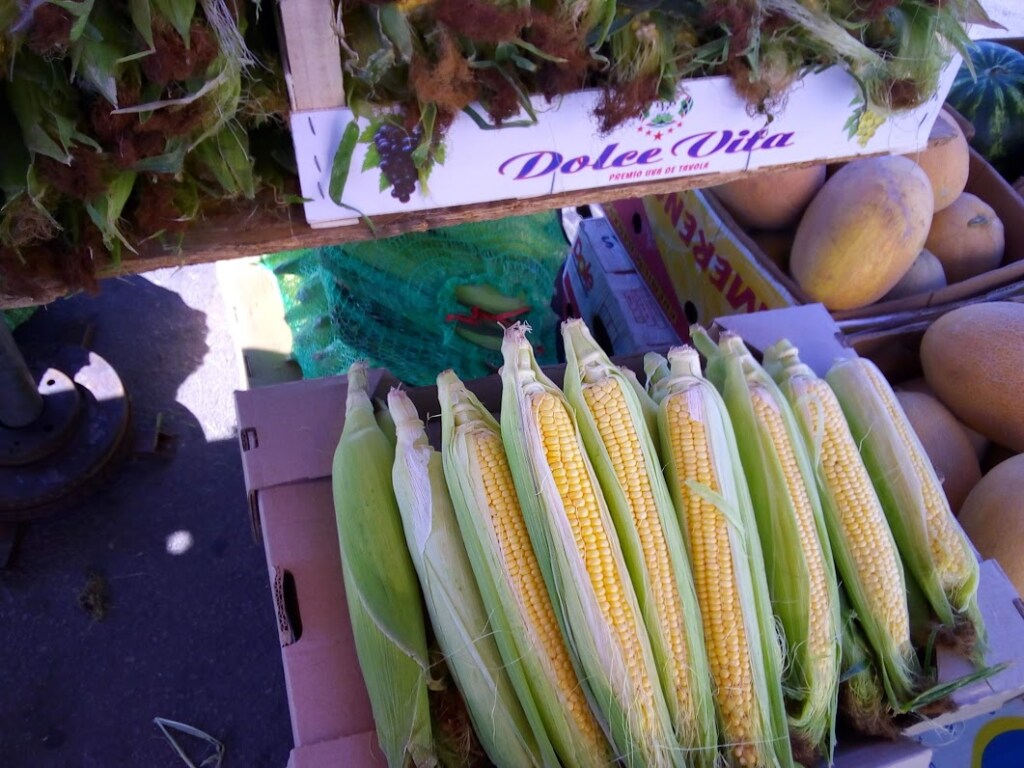 В августе в Киеве на рынках и в супермаркетах подешевела кукуруза (ФОТО)