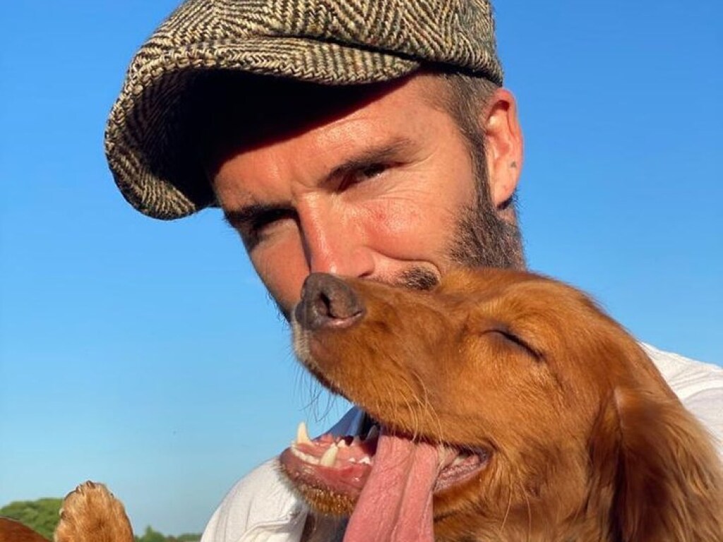 Виктория Бекхэм умилила поклонников снимком мужа с собакой (ФОТО)