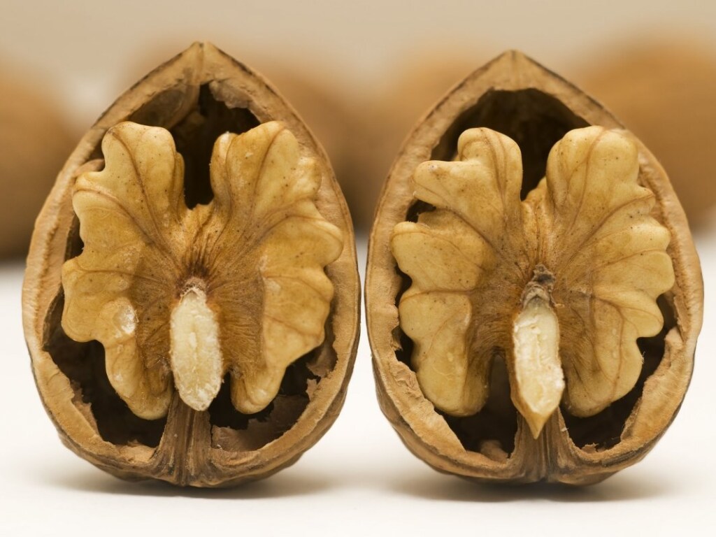 Медики назвали орех для повышения либидо у мужчин