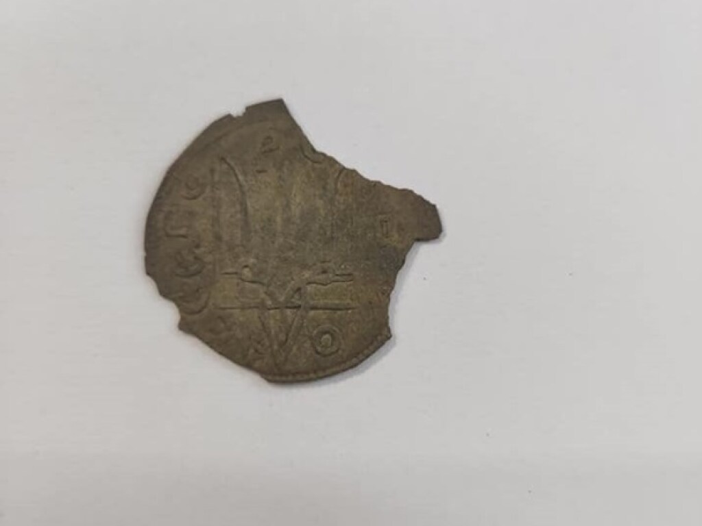 «Сенсационная находка»: в Житомирской области найдены монеты времен Святополка (ФОТО)