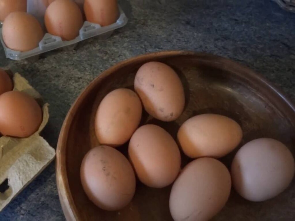 Эксперты рассказали, как правильно хранить яйца