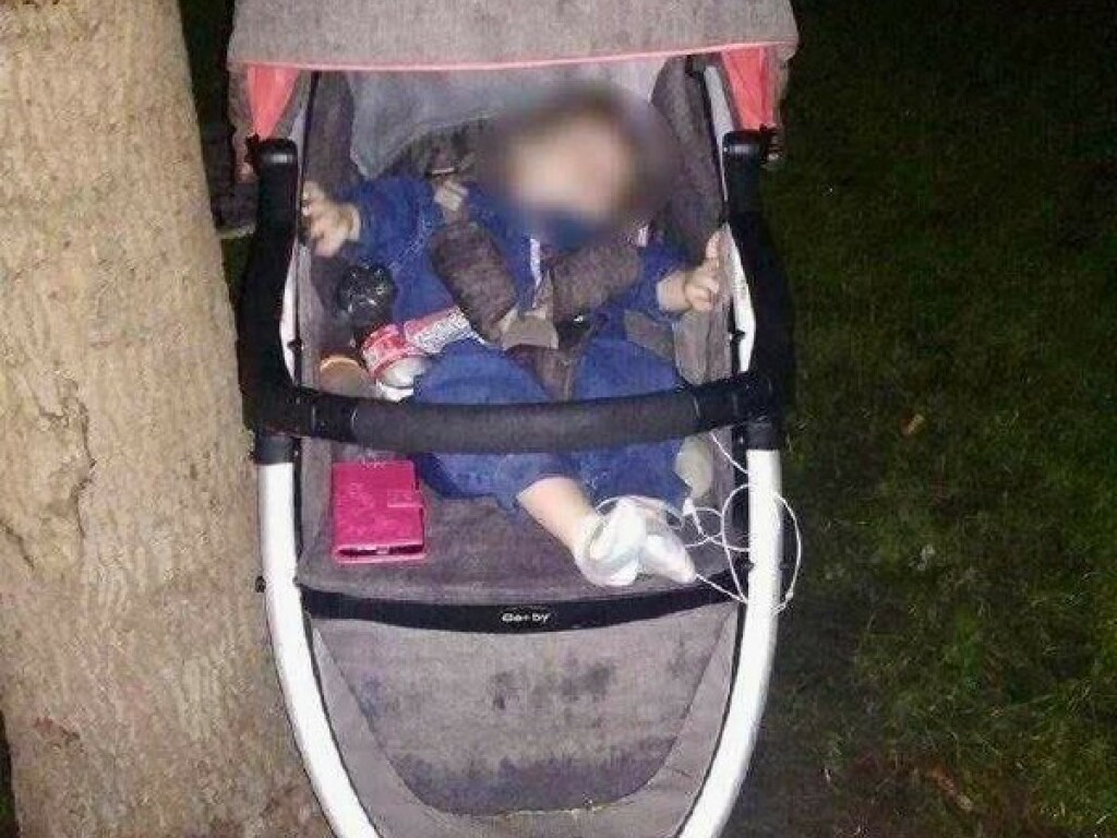 «Просто забыла»: В Киеве пьяная женщина потеряла своего 10-месячного младенца в парке – СМИ (ФОТО)