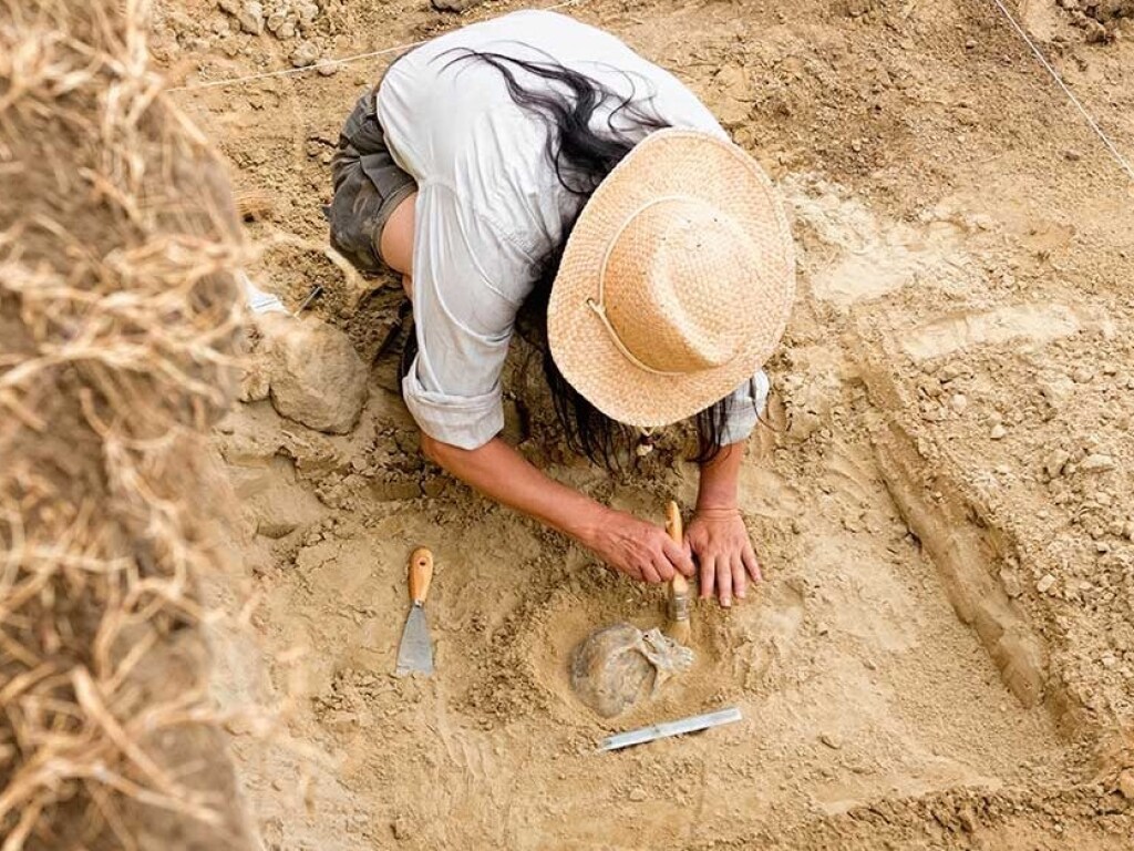 В Херсонской области археологи обнаружили артефакты скифских времен (ФОТО)