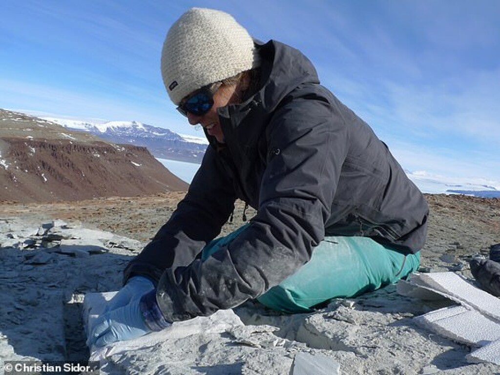 Ученые разгадали тайну «монстра», жившего в Антарктиде 250 миллионов лет назад (ФОТО)