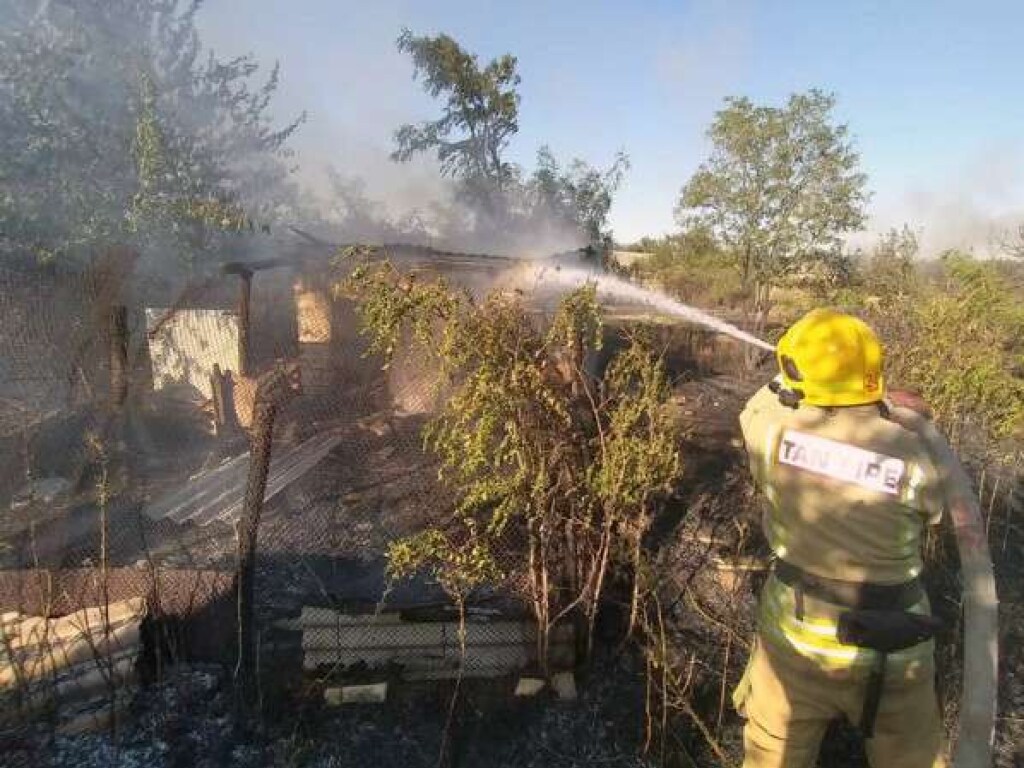 Под Днепром сгорело два гектара сухой травы, пламя перекинулось на жилые дома (ФОТО)