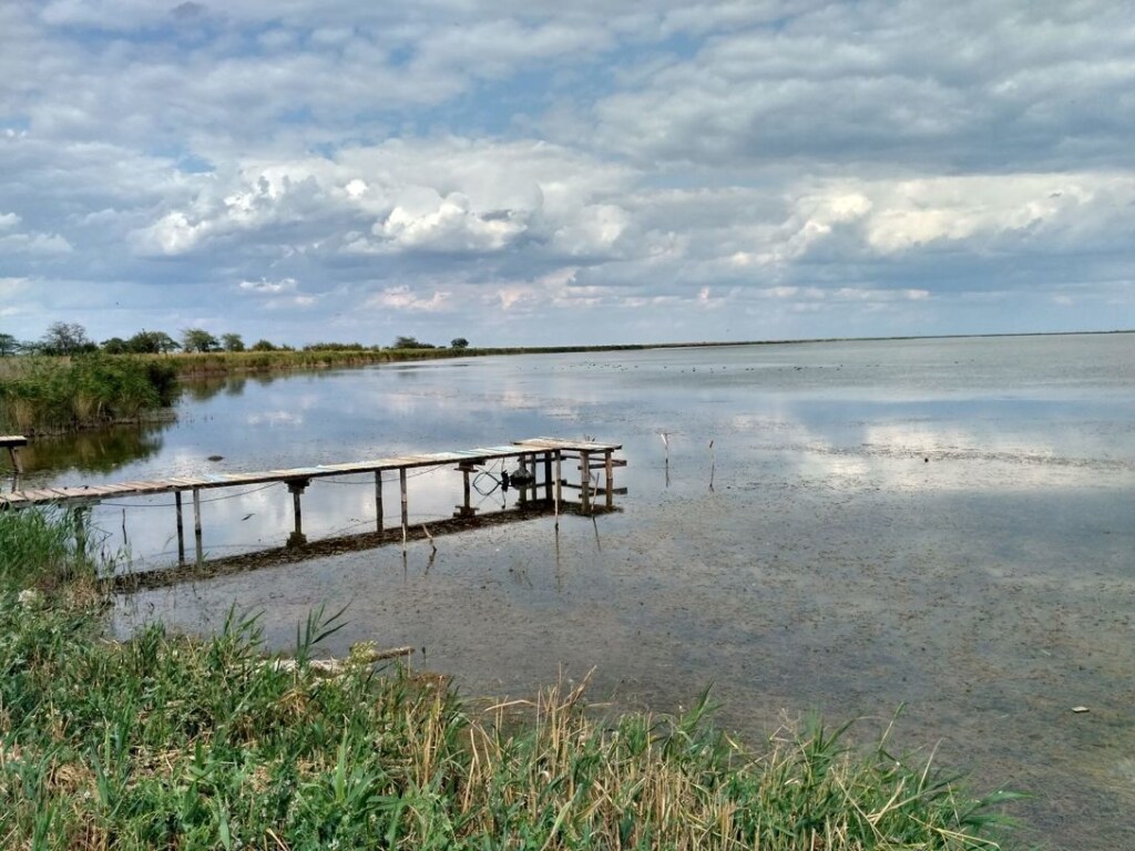 Озеро Сасык в Одесской области нельзя соединять с морем: водоём погибнет &#8212; эколог