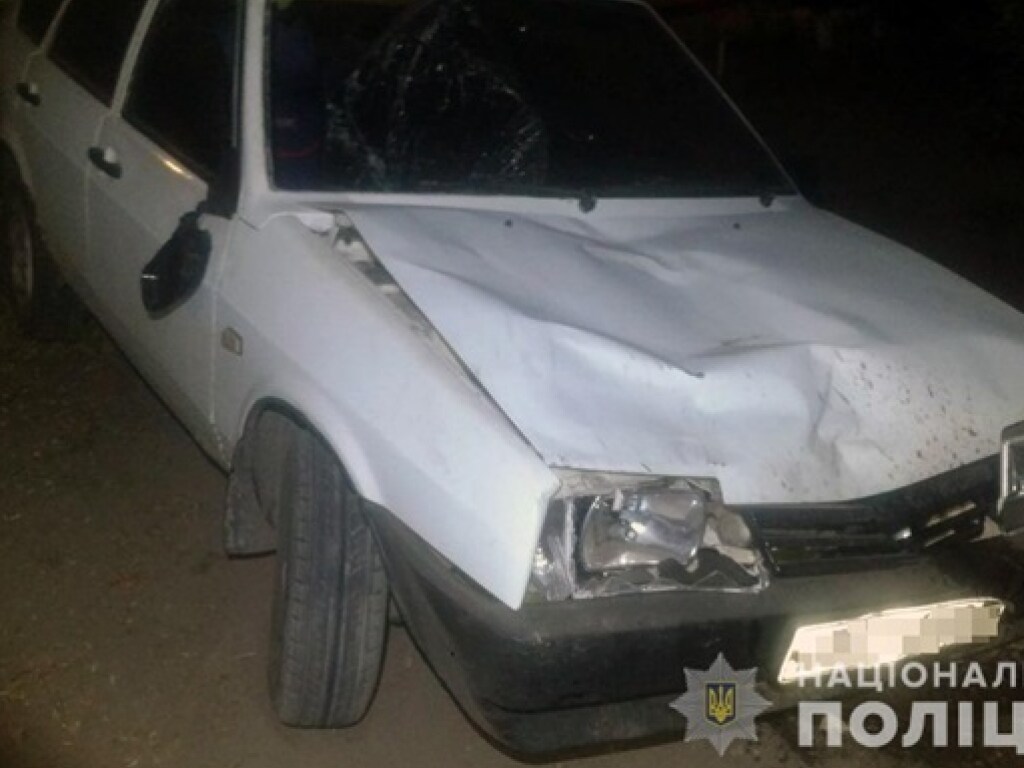 Пьяный водитель в Запорожье сбил на обочине женщину и двоих подростков: пострадавшая погибла (ФОТО)