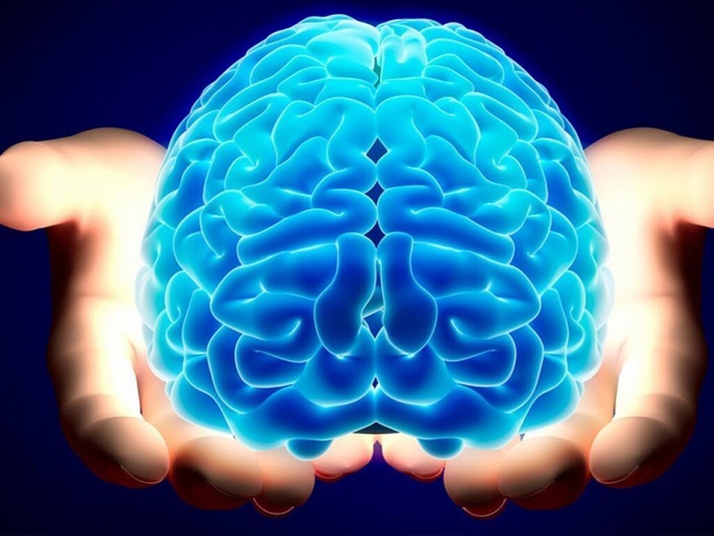 Психолог назвал ТОП-5 способов развить мозг