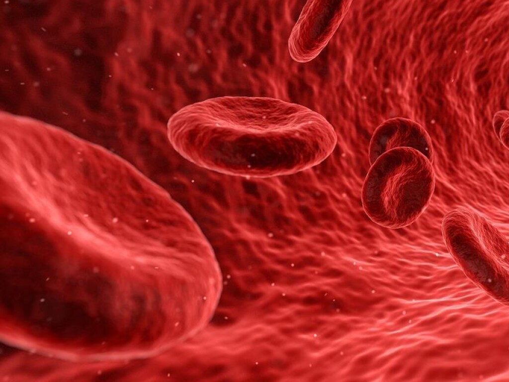 Ученые: Тяжесть течения коронавируса можно предсказать по крови