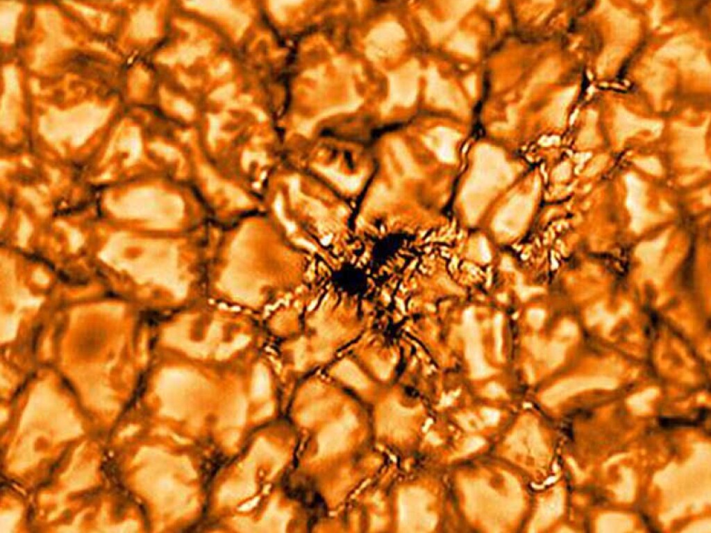 Как выглядит Солнце вблизи: Ученые получили самые детальные снимки солнечной поверхности (ФОТО)