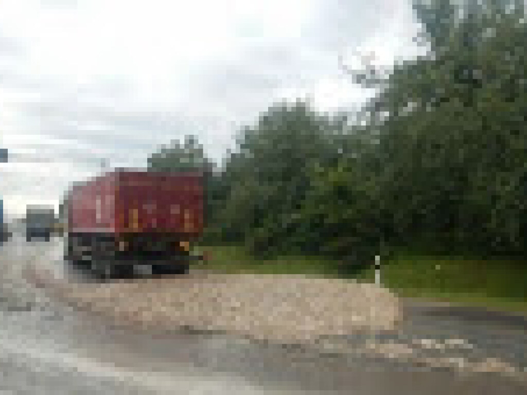 Во Львовской области из грузовика на дорогу рассыпались куриные тушки: дорогу заблокировало (ФОТО)