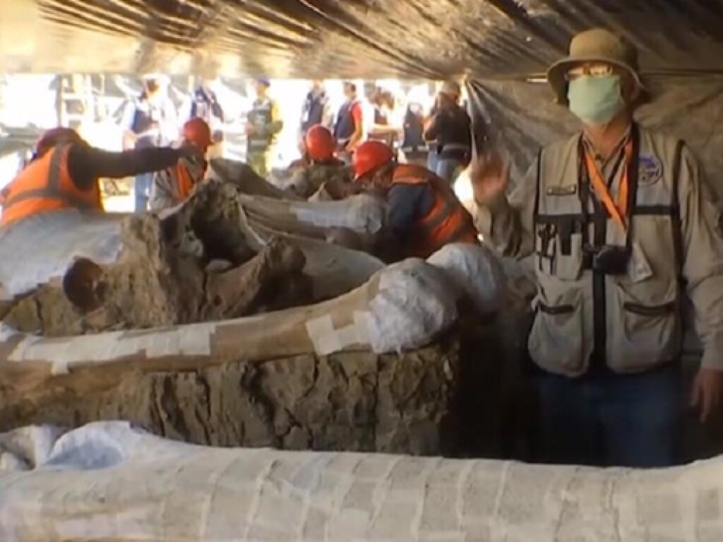 В Мексике во время строительства аэропорта нашли сотни скелетов мамонтов (ФОТО, ВИДЕО)