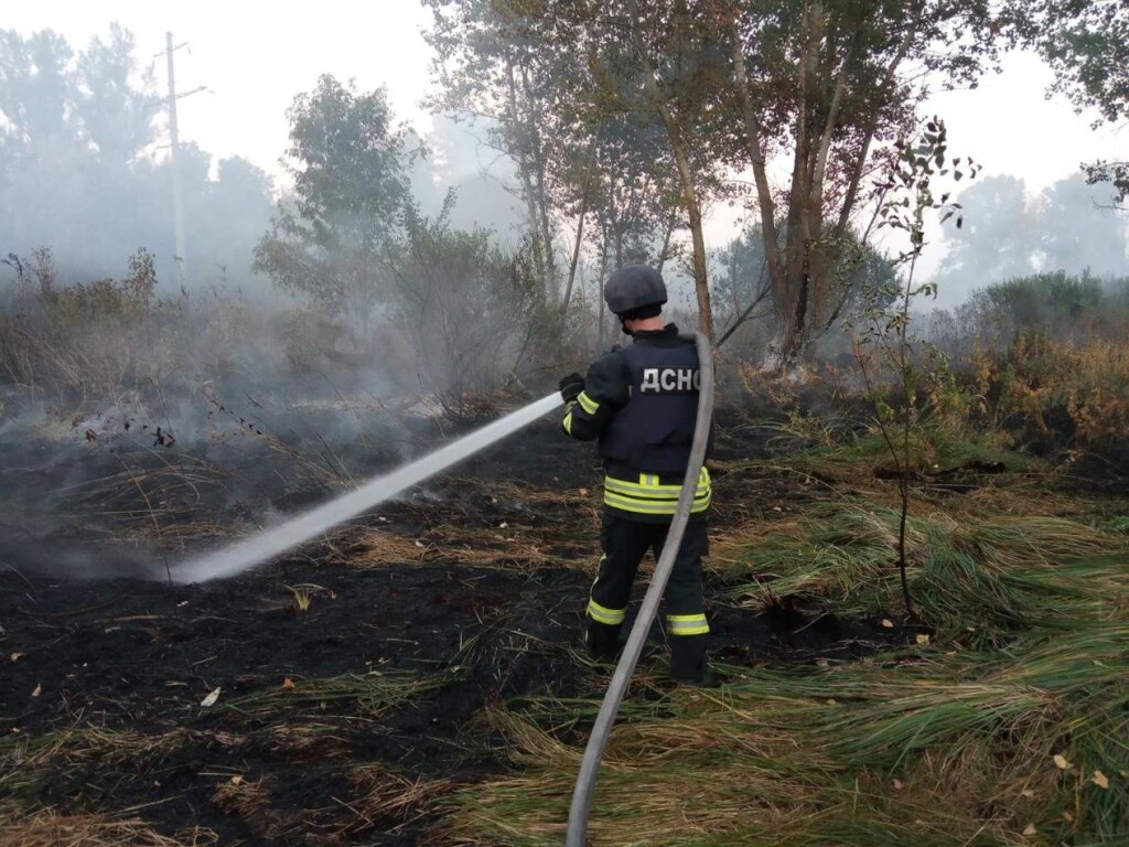 В Харьковской области возле села Воробьевка пожар ликвидирован – ГСЧС (ВИДЕО)