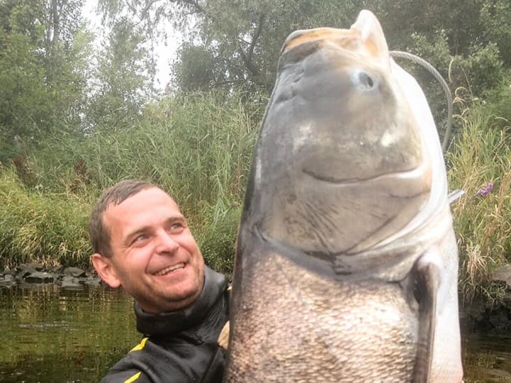 Рыбаку из Днепра удалось выловить гигантского толстолобика в человеческий рост (ФОТО)