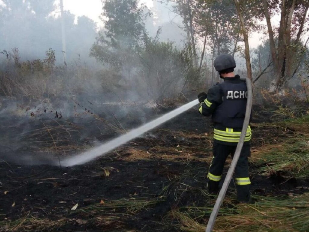 ГСЧС: в Луганской области ликвидированы очаги лесных возгораний