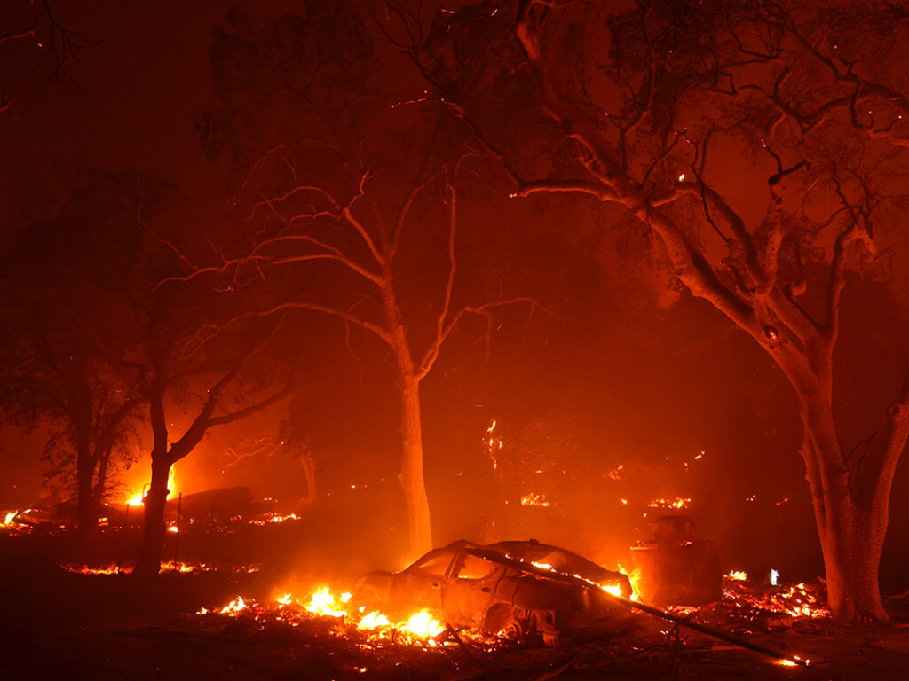 Площадь лесных пожаров в Калифорнии превысила прошлогодний рекорд (ФОТО, ВИДЕО)