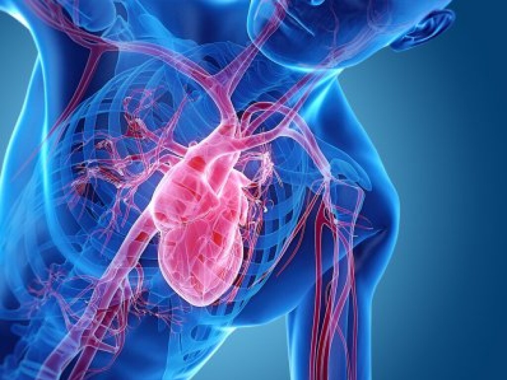 Кардиолог назвал шесть признаков слабого сердца
