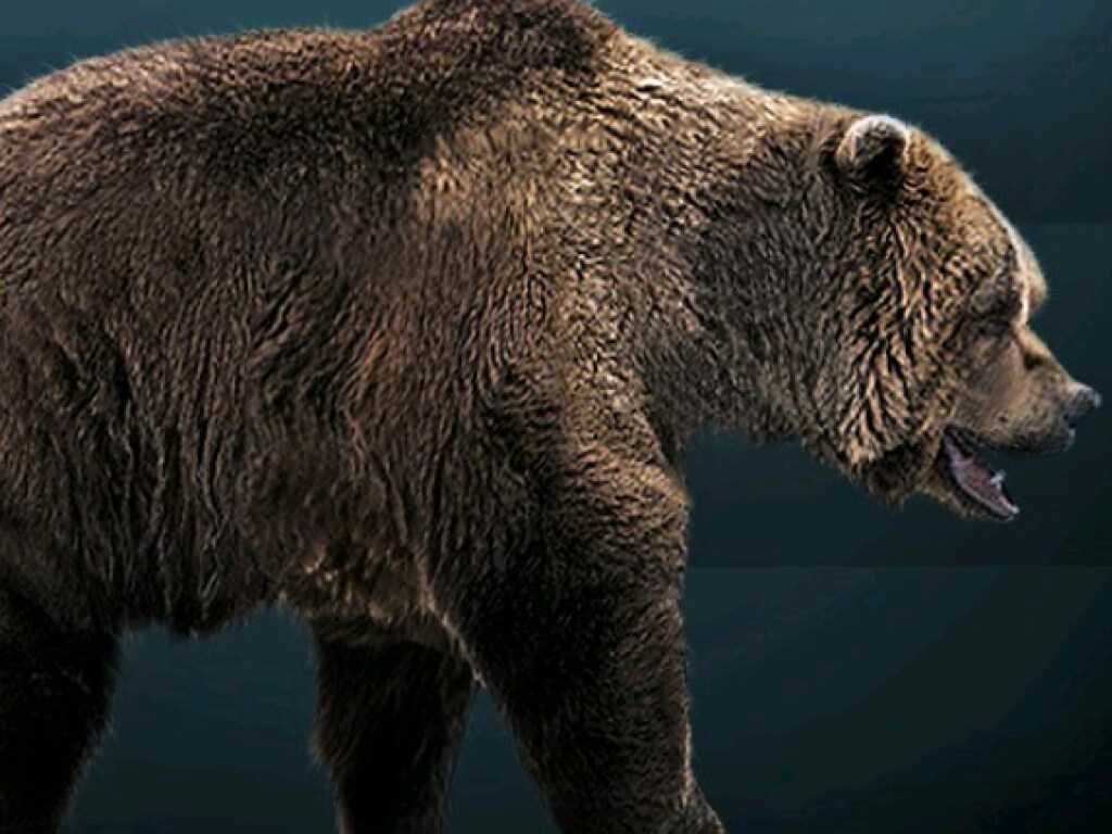 В Сибири была обнаружена мумия доисторического медведя
