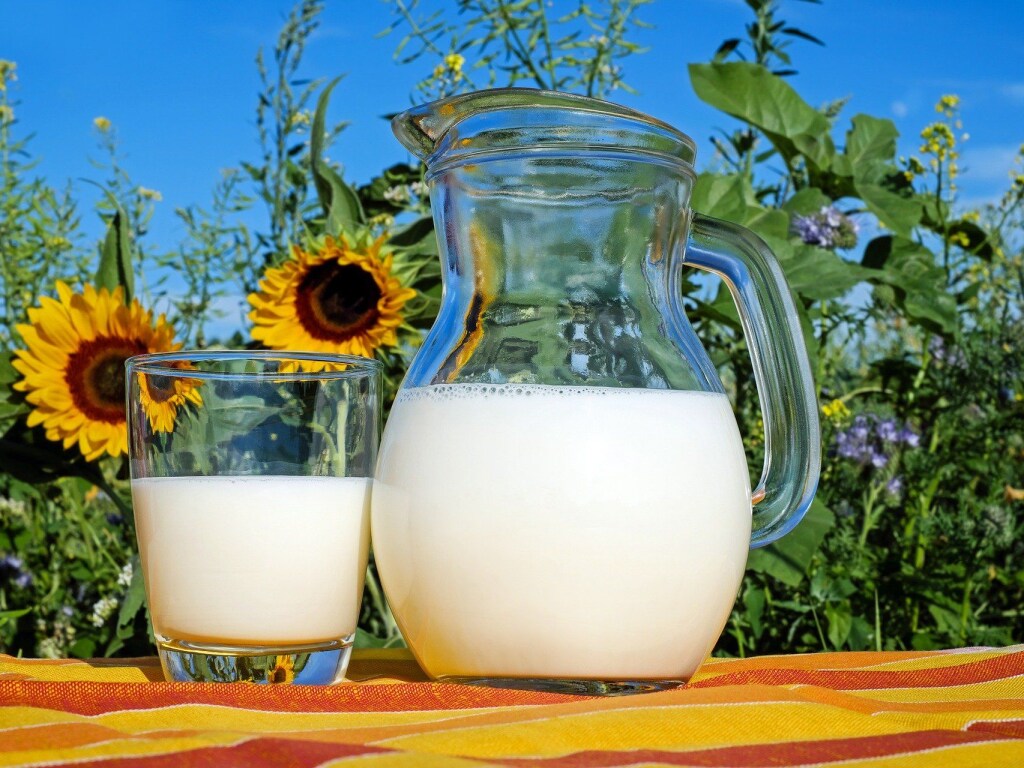 Диетологи назвали продукты, которые нельзя употреблять с молоком