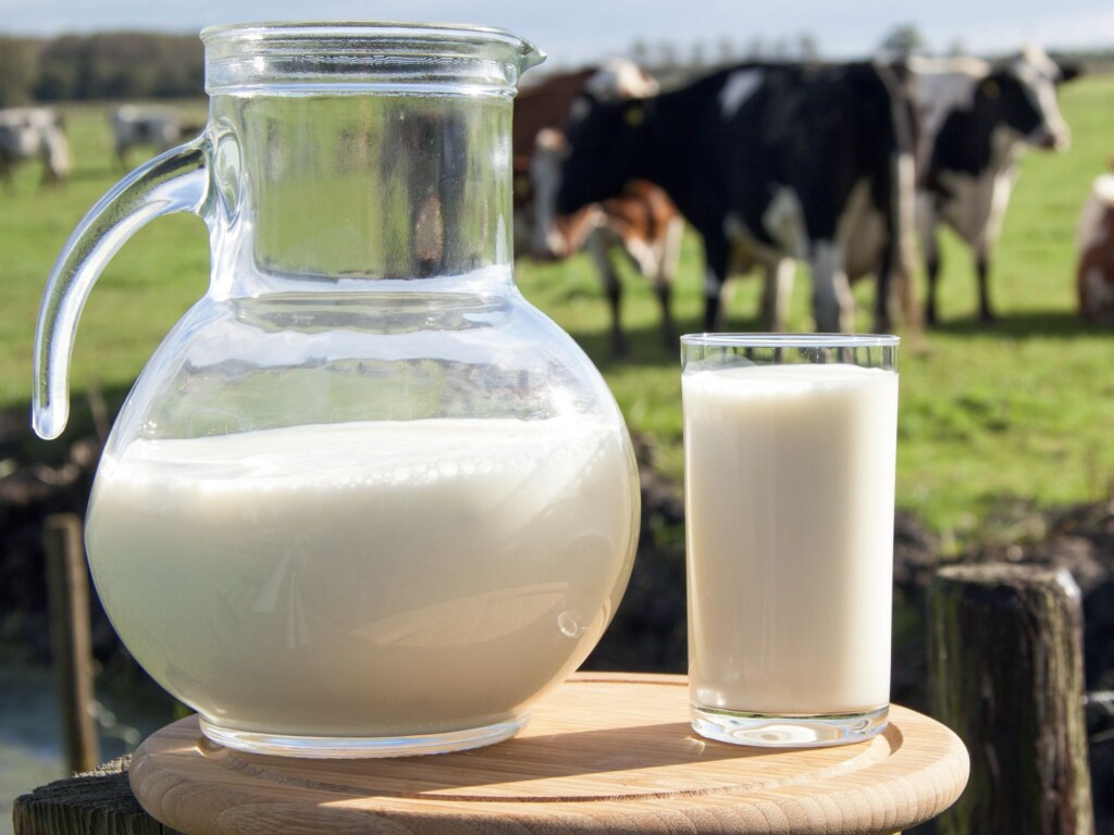 Эксперты рассказали, стоит ли исключать молочные продукты из рациона