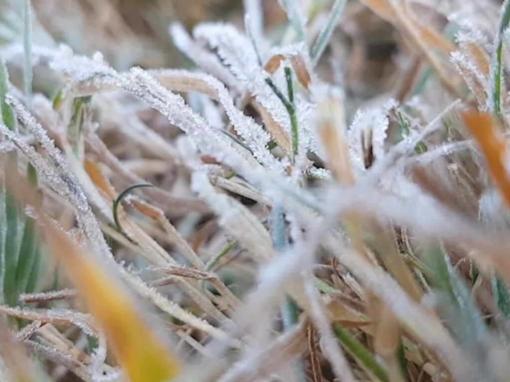 18-19 сентября в Украине ожидается резкое похолодание: в 4 областях синоптики прогнозируют заморозки