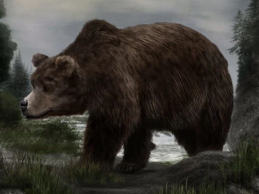 В Сибири ученые обнаружили сохранившуюся тушу древнего пещерного медведя (ФОТО)
