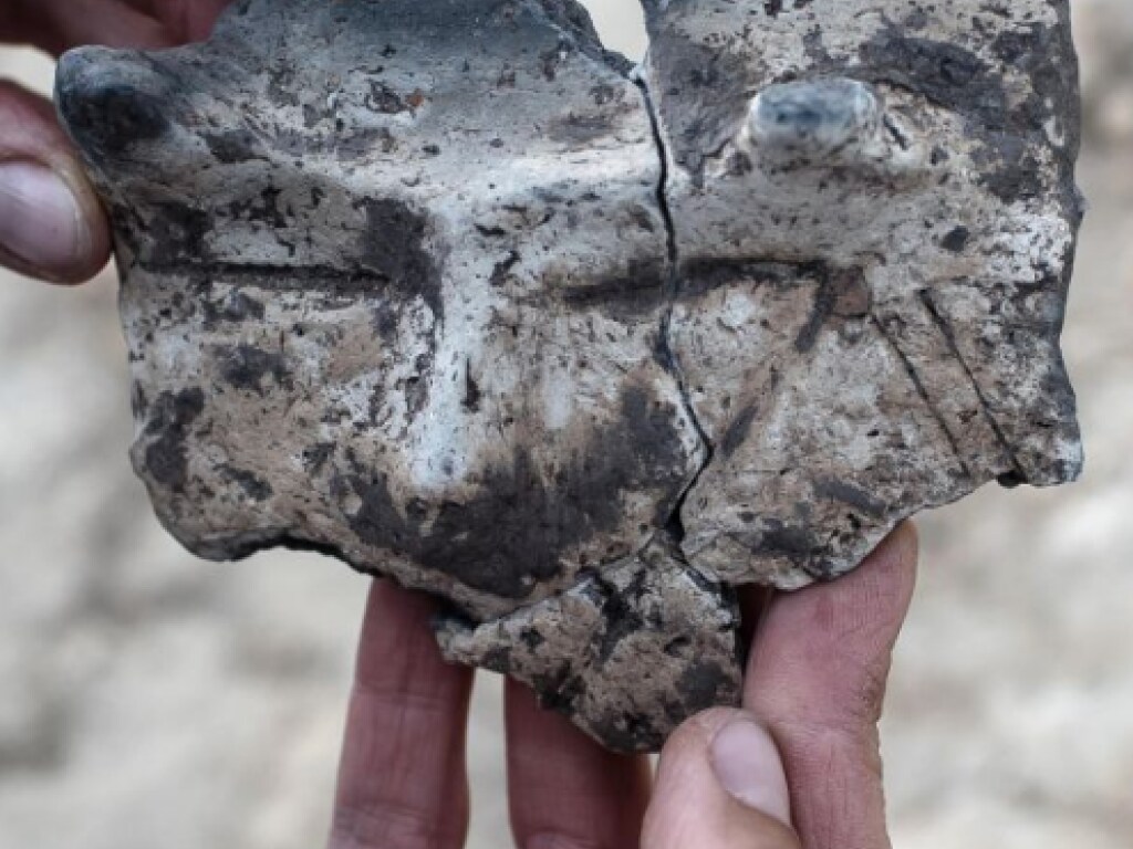 Кувшин в виде рогатого человека: в Польше археологи обнаружили редкий артефакт, которому около 6000 лет (ФОТО)