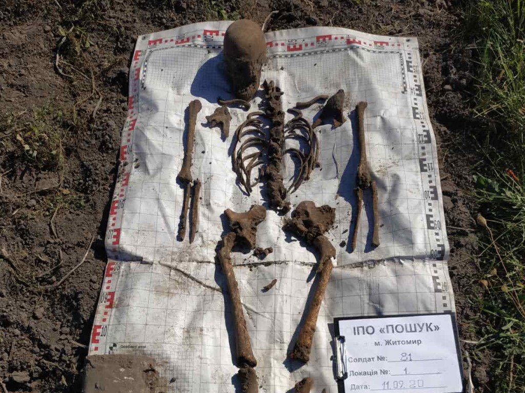 Держались за руки: в Житомирской области найдены останки 10 солдат времен Второй мировой (ФОТО)