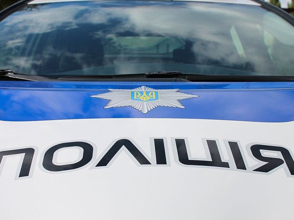 В Одесской области в драку школьниц вмешалась мать одной из учениц: делом занялась полиция
