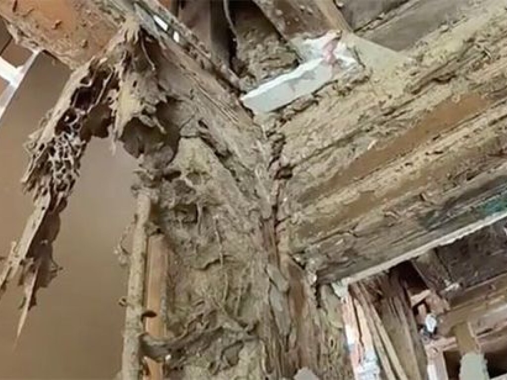 В Австралии термиты уничтожили особняк за полмиллиона долларов (ФОТО, ВИДЕО)